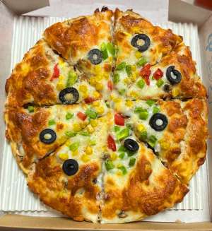 پیتزا مرغ و قارچ متوسط - پالت