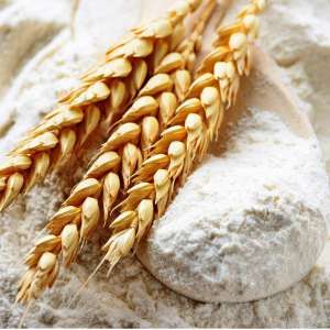 آرد گندم خانگی بسته بندی بهداشتی